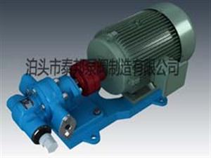 KCB系列齿轮泵-KCB齿轮泵-2CY齿轮油泵