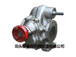 KCB系列不锈钢齿轮泵-不锈钢齿轮泵-KCB-55