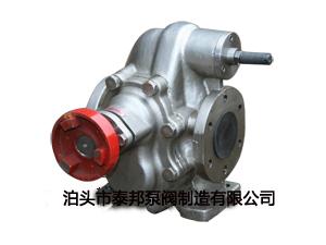 KCB系列不锈钢齿轮泵-不锈钢齿轮泵-KCB-55