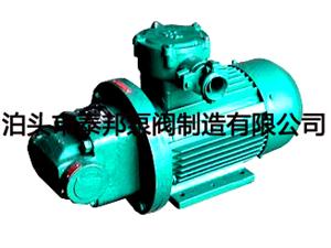 RYB系列双圆弧摆线内齿泵-摆线内啮合齿轮泵-RYB齿轮泵